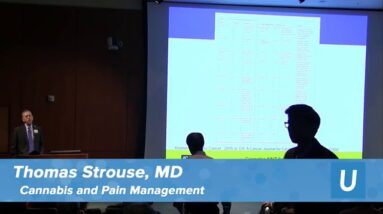 Cannabis & Pain Management - Thomas Strouse, MD | UCLA Health Cannabis Research Initiative