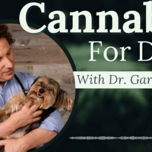 Cannabis for Dogs with Cancer | Dr. Gary Richter Deep Dive