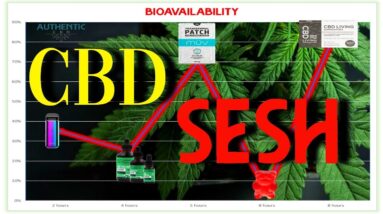 CBD Bioavailability 101