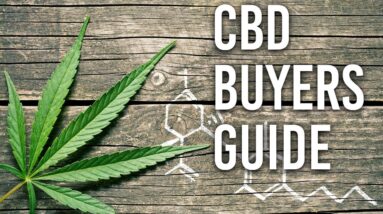 CBD Buyers Guide for Dogs & Cats (2020)
