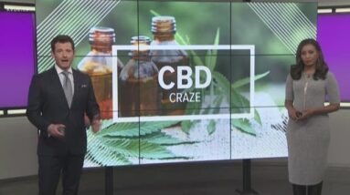 CBD Craze: Would you use CBD oil on your pets?