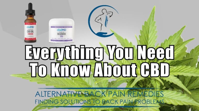 All About CBD | CBD For Back Pain | What is CBD? | CBD Dosage | Oils, Creams, Tinctures, Edibles
