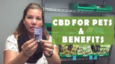 CBD for Pets & the Benefits of CBD for Pets | CBD Pet Product Reviews