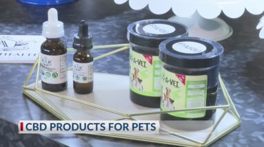 CBD for pets