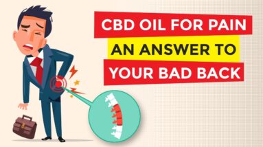 CBD Oil For Pain - An Answer to Your Bad Back