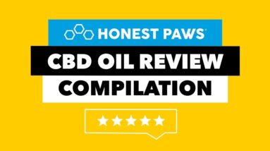CBD Oil Review Compilation | Honest Paws