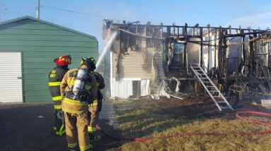 Consumer reports: CBD For Your Pets