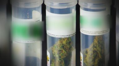 How CBD Can Be Used to Treat Athlete’s Pain