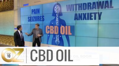 How CBD Oil Impacts the Body