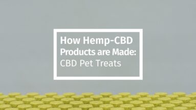 How Hemp-CBD Products are Made: CBD Pet Treats