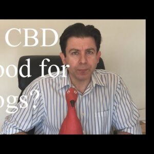 Is CBD good for dogs (or cats)?