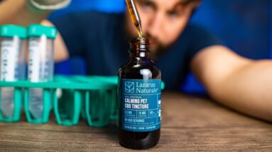 Is Lazarus Naturals Pet Tincture REAL? See the LAB TESTS and CBD review.