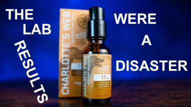 Is Charlotte's Web Hemp Extract for Dogs REAL? See the LAB TESTS and CBD review.