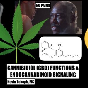 [Re-upload] How Does CBD Oil Work? | Mechanisms of THC and CBD in Pain