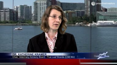 CBD for Pets advocate and Veterinarian helping shape the hemp-based pet company True Leaf