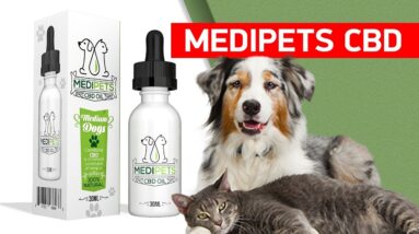 Best CBD Dog Treats - MediPets Review!