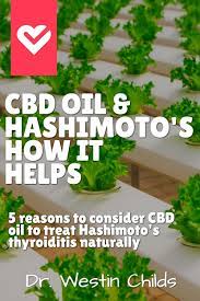 cbd oil benefits for hashimoto's