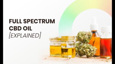 What is Full Spectrum CBD Oil?