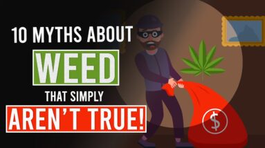 10 MYTHS about CANNABIS That simply AREN'T TRUE!