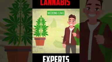 Wedding Cake #Shorts