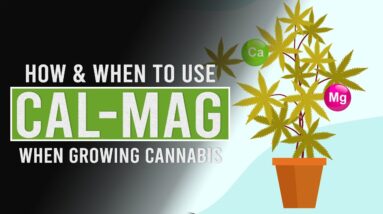 How & When to use Cal-Mag