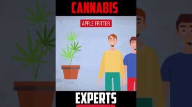 Apple Fritter #Shorts