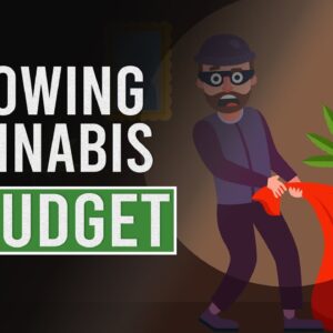 Growing CANNABIS on a BUDGET!