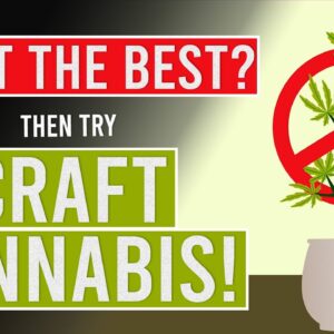 Want the best WEED? Then try Craft Cannabis!