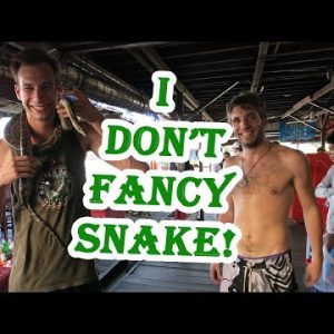 I don't fancy snake!