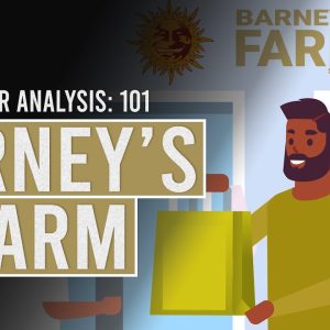 Barneys Farm: Breeder Analysis 101