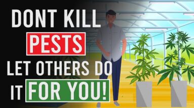 Don't Kill Pests! Let others do it For YOU!
