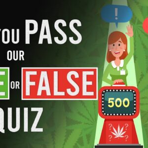 True or False! Can You Pass the Test?