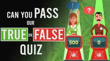True or False! Can You Pass the Test?