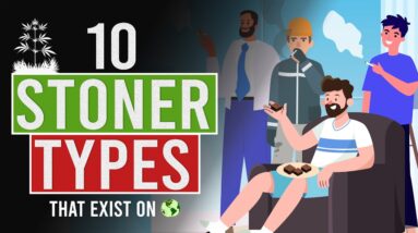 10 Stoner Types That Exist in the World...