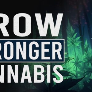 Make Your Cannabis WAY STRONGER!