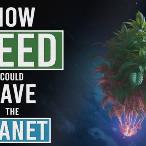 Could Cannabis Solve the Climate Crisis?!?