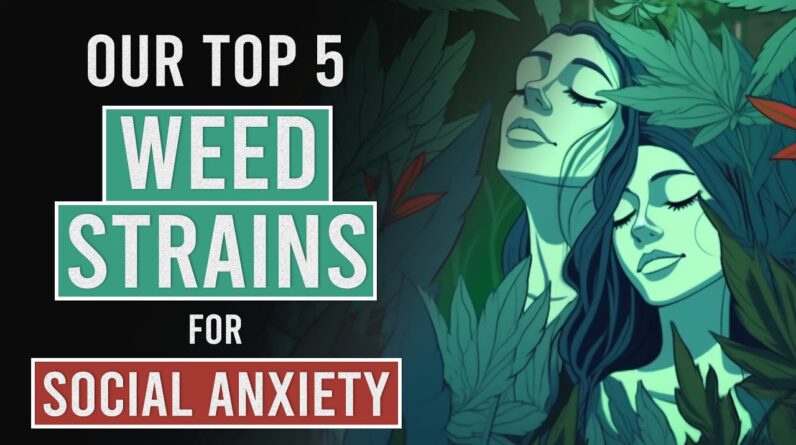 Our 5 Best Strains for Social Anxiety!