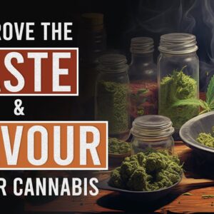 Better Tasting Cannabis with these simple Techniques!