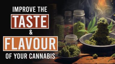 Better Tasting Cannabis with these simple Techniques!