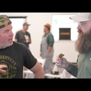 Kevin Jodrey: Meet Your Cannabis Instructor ~ Online and In-Person / Ganjier