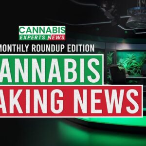 Cannabis in 2024: January's Jaw-Dropping Developments You Missed!