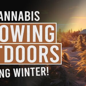 Growing Outdoors During Winter!