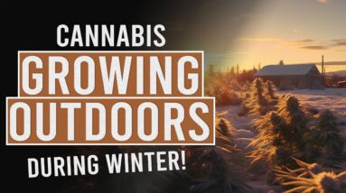 Growing Outdoors During Winter!