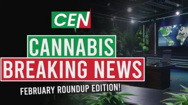 Cannabis in 2024: February's Phenomenal Progress and Pioneering moments!