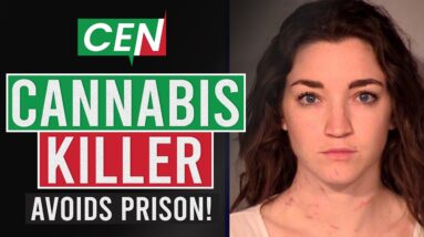 March 2024: High Stakes and New Grounds in Cannabis News