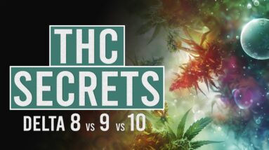 Which THC is for you? Delta 8, 9, 10 Guide!
