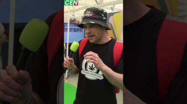 Is Cannabis a gateway drug?