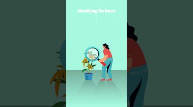 Plant Stress: Symptoms & Treatment!