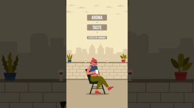 The effects of Terpenes!