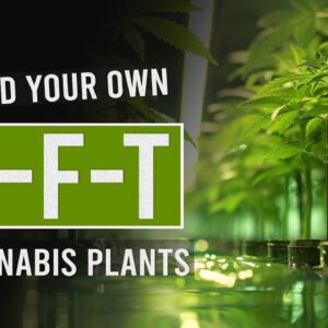 Using NFT for Perfect Cannabis Growth!